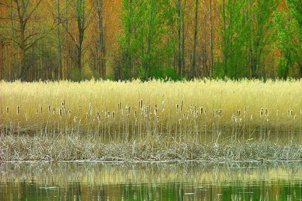 Imagen de la noticia: La Diputación de Badajoz participante en el Foro  ...