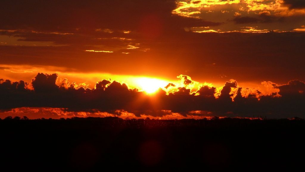 Imagen de la noticia: Manifestación de interés - Plan de recuperación ...
