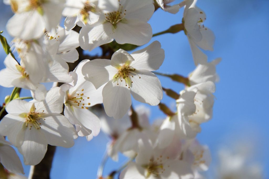 Imagen de la noticia: Aprobado el Reglamento de Evaluación del Desempe� ...