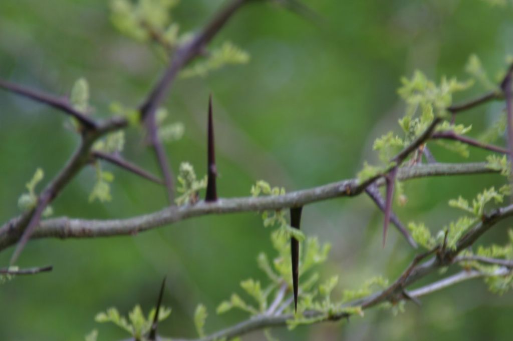 Imagen de la noticia: Resolución de la convocatoria de oferta de plazas ...