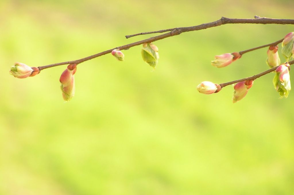 Imagen de la noticia: Aprobado el Reglamento de Evaluación del Desempe� ...