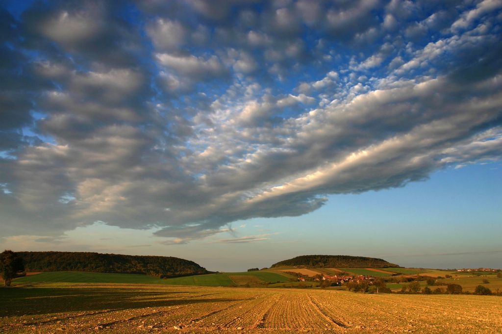 Imagen de la noticia: La Diputación de Badajoz participante en el Foro  ...