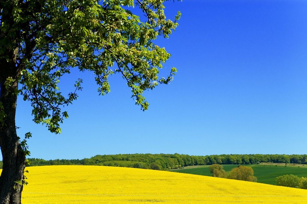 Imagen de la noticia: Aprobado el Reglamento de Evaluación del Desempe� ...