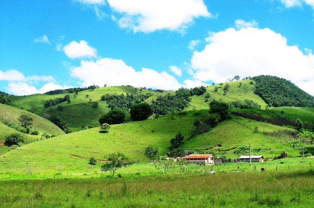 Imagen de la noticia: Manifestación de interés - Plan de recuperación ...
