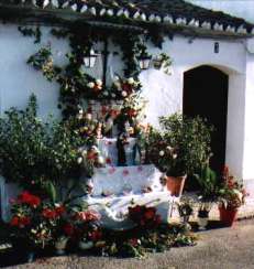 Imagen: Las Cruces
