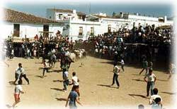 Foto: Fiestas Capea