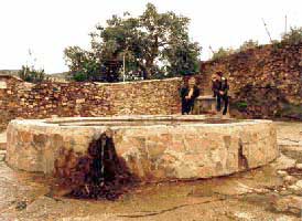 Foto: Fuente