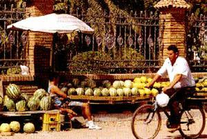 Foto: melones
