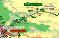 Foto: Ruta IV. Ca&ntilde;ada Real Sancha Brava